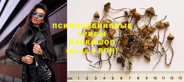 мяу мяу мука Алзамай