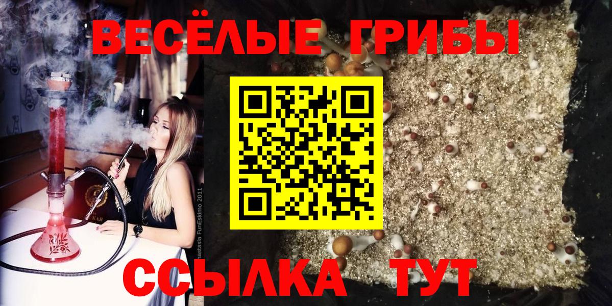 Галлюциногенные грибы мицелий Удомля